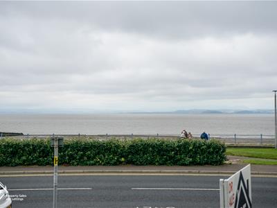 Picture 26